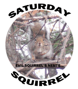 sqturday squirrel logo